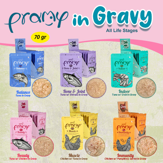 Pramy Pouch In Gravy  - Cat Snack - Cat Treats